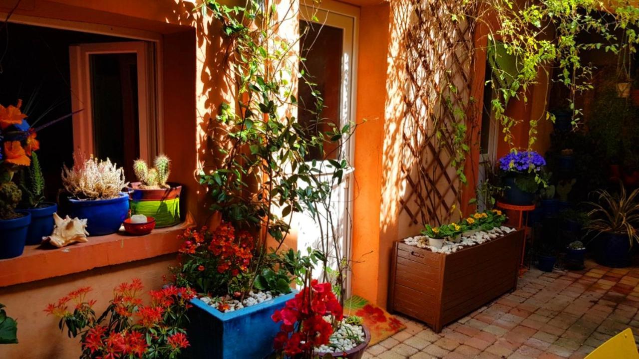 Petit Patio En Centre Ville Nimes Ngoại thất bức ảnh