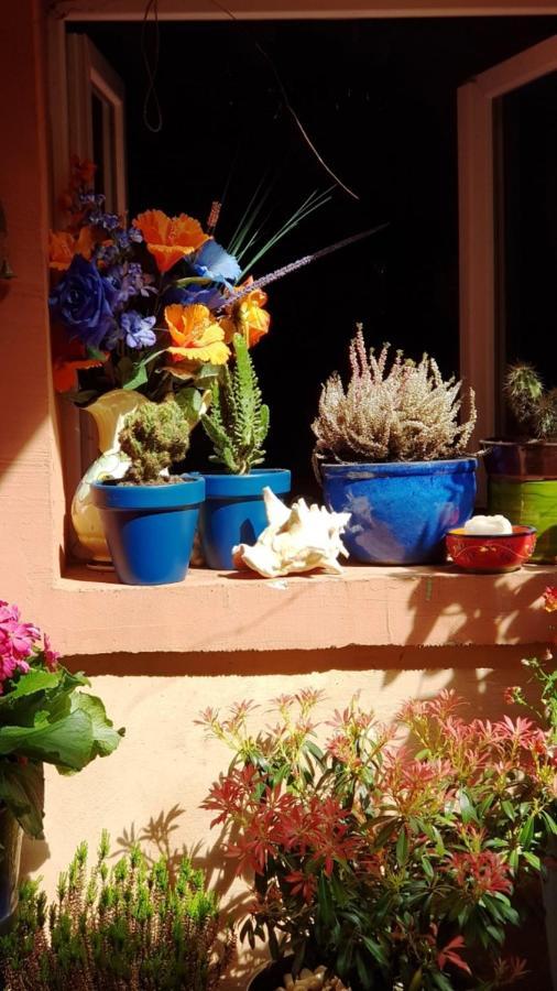 Petit Patio En Centre Ville Nimes Ngoại thất bức ảnh
